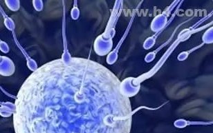 去做一次日本试管婴儿费用组成有哪些？