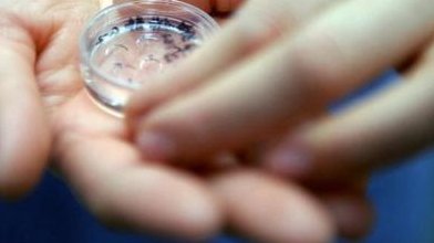 自然受孕几率多大？怎么提高怀孕的几率