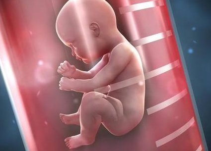 在南昌做一次第二代试管婴儿需要多长时间？费用情况如何？