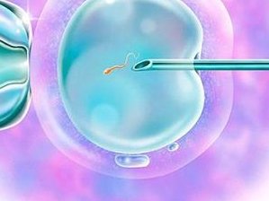 河北医科大学第四医院做三代试管婴儿成功率高不高？什么因素可以影响到试管成功率