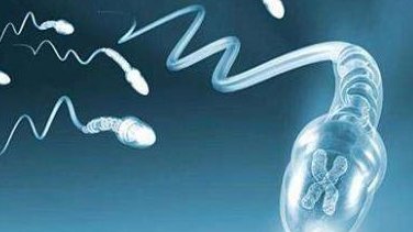 排卵障碍不容忽视，不孕大多是其原因！菏泽市哪家医院擅长排卵障碍试管方案？