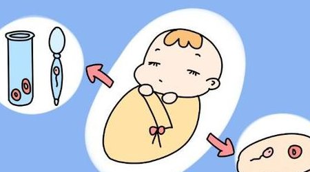 2026沧州试管婴儿费用预估，2区3家医院助孕花费明细