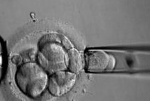 第三代试管婴儿随时都可以吗？