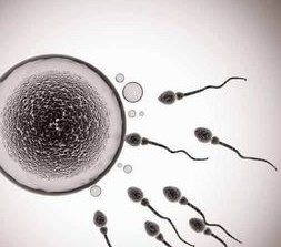 10月关注！天津三代试管婴儿攻略费用，10万搞定